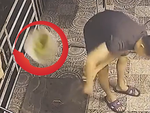 Chồng đứng trên gác vẩy rau, trượt tay quăng luôn rổ xuống đường