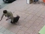 Chú chó hoảng hồn vì nằm ngủ trên vỉa hè bị khách vấp vào người