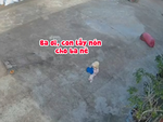 Bé gái 2 tuổi chạy đi lấy mũ khi thấy bố làm việc ngoài trời nắng