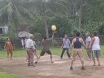 Các cụ ông đánh bóng chuyền nhẹ nhàng như tua chậm
