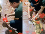 Ông bố đi ăn tiệc gói tôm về cho mèo cưng