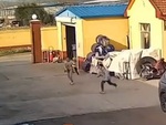Hai chị em bỏ chạy thoát thân khi bị 'chó dữ' rượt đuổi