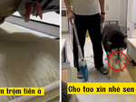 Phát hiện pha trộm tiền đi vào túi con Lu