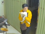 Thanh niên khổ sở với đàn mèo mỗi khi đóng cửa