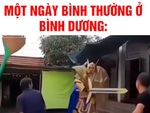 Dân mạng đua nhau khoe ảnh 'độc lạ Bình Dương'