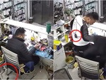 Con mèo nguy hiểm nhất hành tinh