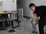 Chồng trẻ làm đổ bánh của vợ xuống đất, lấy con nhỏ làm 'bia đỡ đạn'