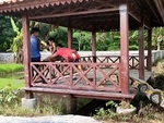 3 thanh niên hú hồn nhảy xuống ao khi thấy 'trăn khổng lồ' sau lưng