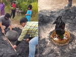Gà nướng lu thành gà 'bóng đêm'