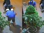 2 tên trộm cây kiểng bất lực vì gặp chủ nhà cao tay