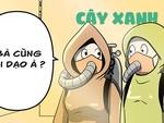 Cây xanh đô thị: Ngày xửa ngày xưa...