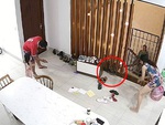 Cả nhà phối hợp nhau bắt chuột