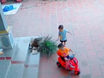 Cháu nó ở nhà ngoan lắm (P41)