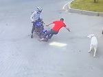 Chó cưng chạy ra đường làm sen ngã dập mông