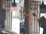 Chàng trai đứng hình khi chim sổ lồng bay mất