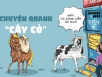 Chuyện quanh 'cây cỏ' thời bão giá