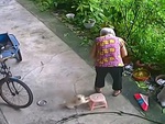 Cún cưng lấy ghế cho cụ bà ngồi