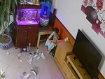 Cháu nó ở nhà ngoan lắm (P42)