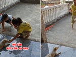 Chú chó chơi nhảy dây với cô chủ