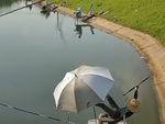 Cần thủ lộn santo khi giật cá