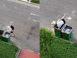 Cô gái 'não cá vàng' vứt điện thoại vào thùng rác