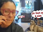 Hai chú chó nhún nhảy khắp nhà khi được sen cho đi ăn tiệc