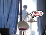 Chú mèo khóa cửa nhốt sen ngoài ban công