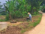 Máy cày tay điều khiển dành cho người lười lội ruộng