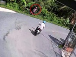 Người đàn ông đi xe máy ôm cua vào bụi cây