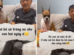 Chú chó tỏ thái độ không hài lòng khi ở với ông