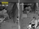 Trộm chó hú hồn vì 3 giờ sáng gặp chủ nhà ngồi lướt điện thoại