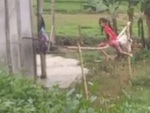Đẻ con gái cho thùy mị nết na (P47)