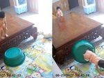 Đẻ con gái cho thùy mị nết na (P50)