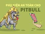 Trang bị an toàn cho pitbull