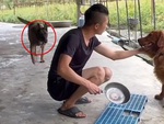 Chú chó chạy đi lấy dao cho sen xử tội đồng bọn