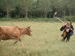 Mẹ bầu 7 tháng tung tăng vác bồ cào hóa Trư Bát Giới cực yêu