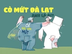 'Cò đặc sản' làm xấu hình ảnh Đà Lạt