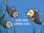 Này các ông ơi, tôi có việc này nhẹ nhàng mà lương cao lắm!