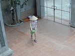Cô gái nổi quạu khi vẩy rau quăng luôn rổ