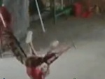 Cháu nó ở nhà ngoan lắm (P46)
