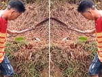 Người đàn ông đứng đơ như tượng vì sợ ong chích