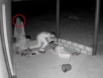 3 thanh niên giữa đêm ngồi nhậu ở vỉa hè bị 'ma' rượt chạy sấp mặt