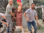 Video hài nhất tuần qua: Pitbull rượt bác sĩ thú y trả đũa vì bị tiêm