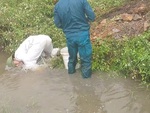 Người đàn ông ngã cắm đầu xuống mương nước khi bắt chuột