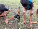 Bé trai khóc thét khi bị đỉa đốt