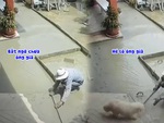 Thợ xây bất lực với chú chó chạy qua chạy lại trên nền sân bê tông vừa đổ