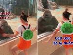 Vượn chán chẳng thèm nói khi bị cô gái nhún nhảy lêu lêu