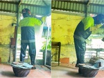 Người đàn ông đội mũ bảo hiểm bắt ong bị đốt sưng mặt