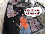 Khi chủ bảo ăn lương theo số lượng