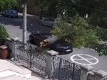 Xế hộp bị cây đè và nỗi đau nhân đôi của khổ chủ khi được cứu hộ